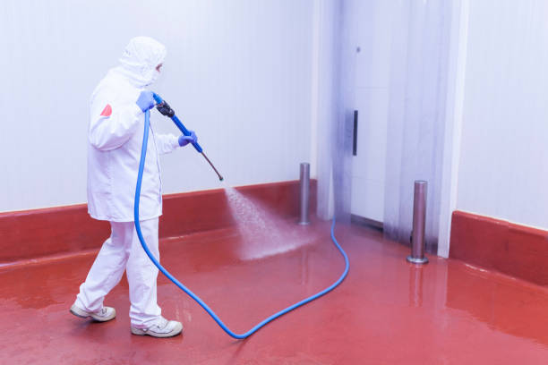 Best Dumpster Area Cleaning  in Citrus Hills, FL